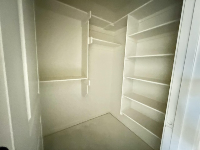 238 Kelton St, Hensley, AR 72065 - view of walk in closet
