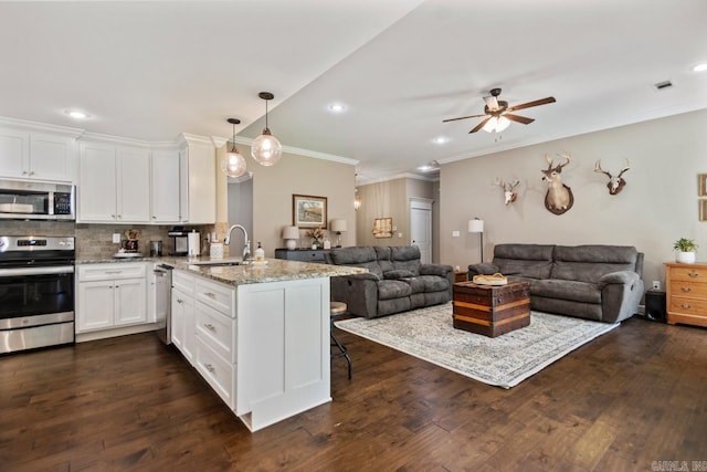 kitchen with appliances with stainless steel finishes, open floor plan, a peninsula, ornamental molding, and ceiling fan