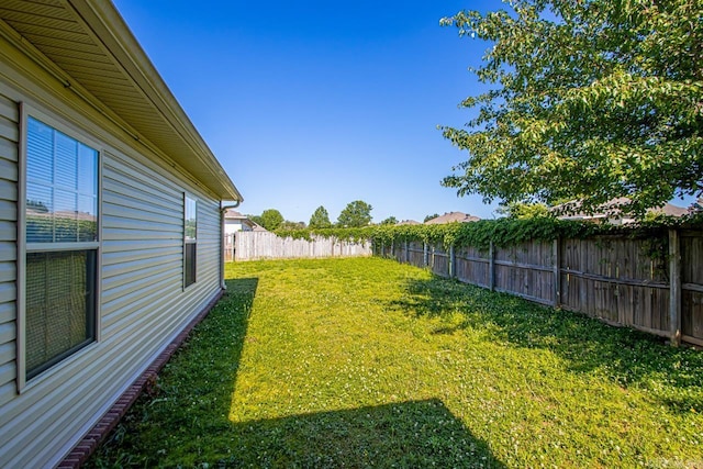 view of yard