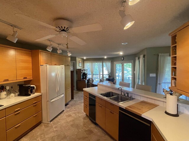 1502 Quail Creek Dr, Conway, AR 72032 - kitchen with freestanding refrigerator, dishwasher, rail lighting, a sink, and a textured ceiling