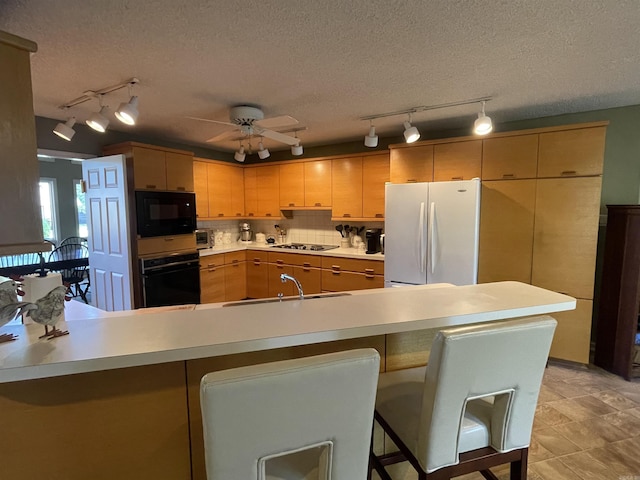 1502 Quail Creek Dr, Conway, AR 72032 - kitchen featuring rail lighting, black appliances, a sink, light countertops, and a textured ceiling