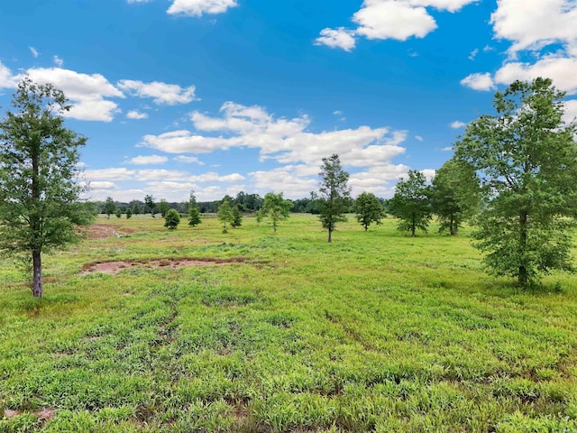 72U Matthews Rd, Enola, AR 72047