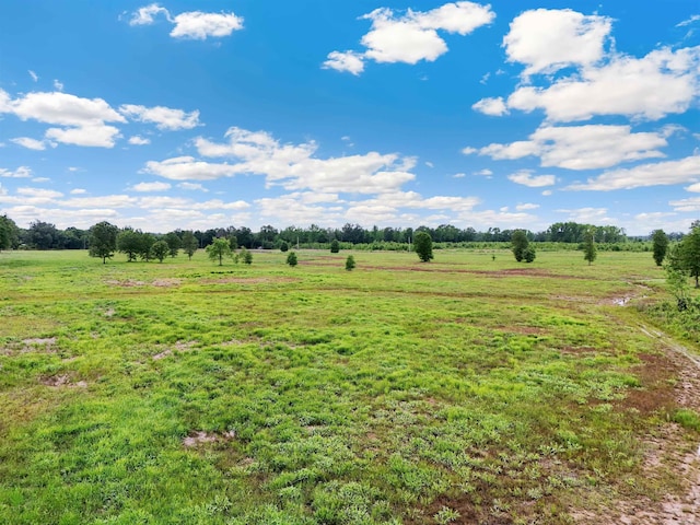 72U Matthews Rd, Enola, AR 72047