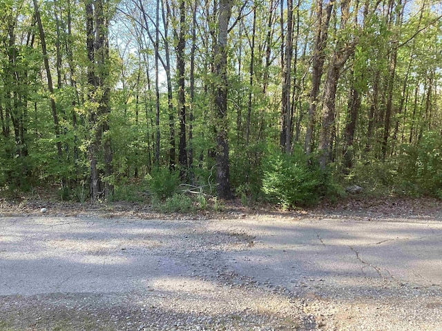 LOT10 Pine Ridge Rd, Rose Bud, AR 72137
