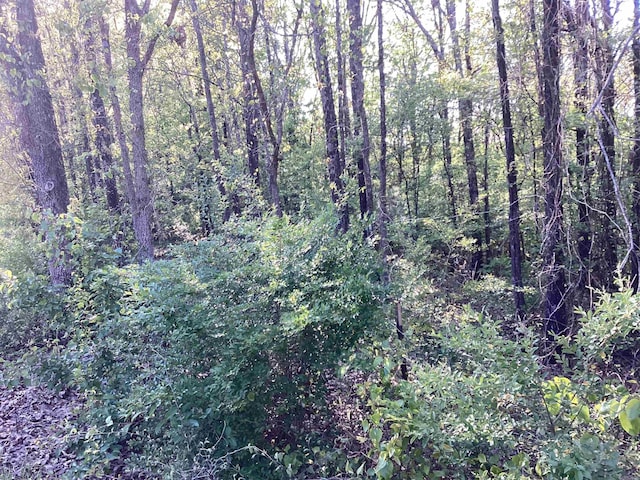LOT10 Pine Ridge Rd, Rose Bud, AR 72137
