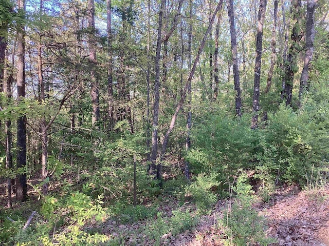 LOT10 Pine Ridge Rd, Rose Bud, AR 72137