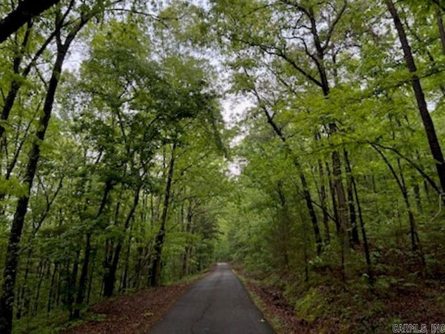 LOT10 Pine Ridge Rd, Rose Bud, AR 72137