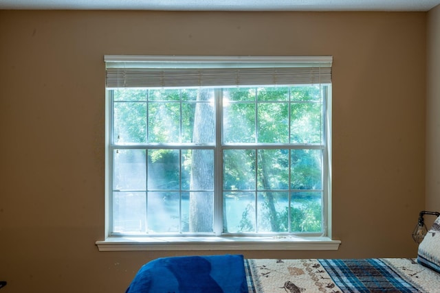 204 Riverside Dr, Pangburn, AR 72121 - view of bedroom
