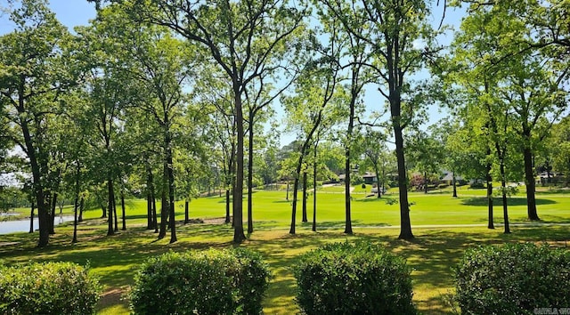 view of home's community featuring a lawn