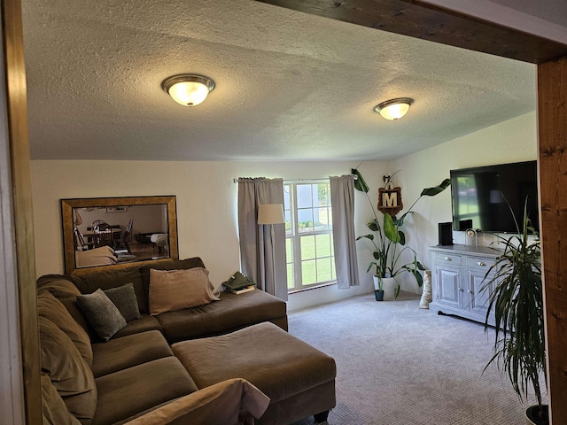 living area featuring carpet flooring and a textured ceiling