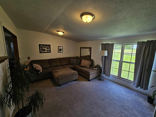 carpeted living room with a textured ceiling and lofted ceiling