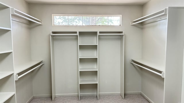 walk in closet featuring carpet floors