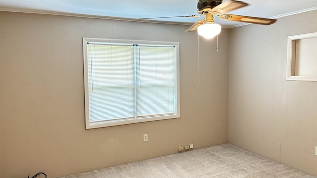 empty room with ceiling fan, carpet, and ornamental molding