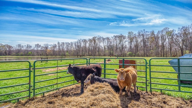 15 Eastwood Dr, Ward, AR 72176 - view of yard with a water view, a view of rural / pastoral area, an exterior structure, and view of scattered trees