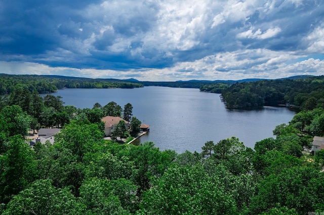 3 Tenerife Way, Hot Springs Village, AR 71909 - water view with a forest