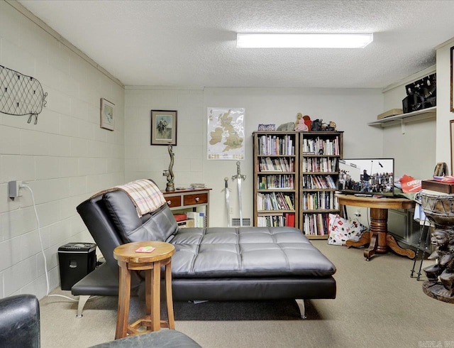 72 Pintuerero Way, Hot Springs Village, AR 71909 - living area with carpet flooring, concrete block wall, and a textured ceiling