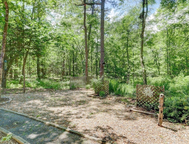72 Pintuerero Way, Hot Springs Village, AR 71909 - view of yard featuring a wooded view