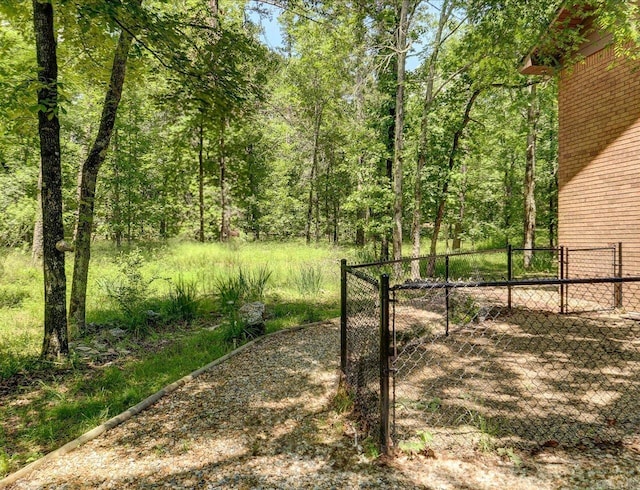 72 Pintuerero Way, Hot Springs Village, AR 71909 - view of yard with a gate and fence