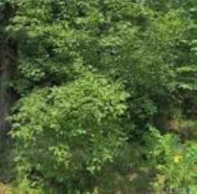 Unknown Missouri Street, Mena, AR 71953