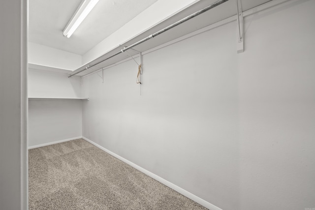 1121 Twin Pts Unit 1121C, Hot Springs, AR 71913 - spacious closet featuring carpet flooring