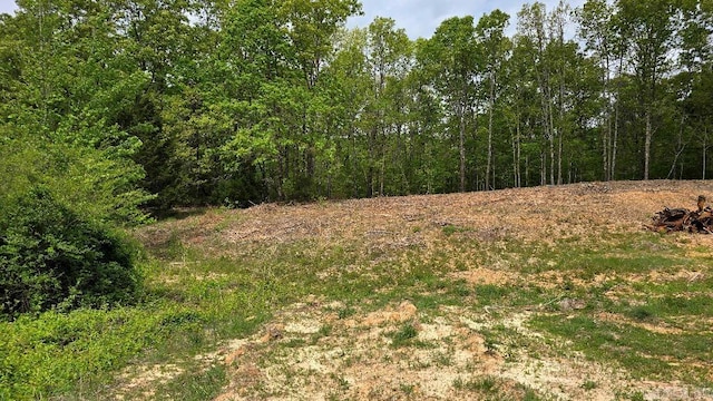 20962 Distress Creek Rd, Harrisburg, AR 72432