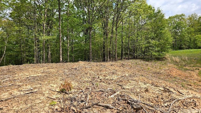 20962 Distress Creek Rd, Harrisburg, AR 72432