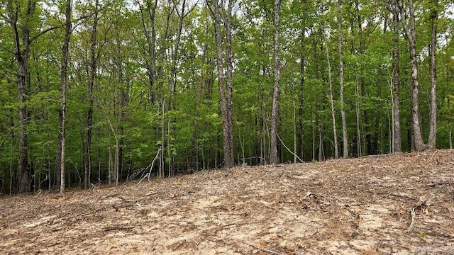 20962 Distress Creek Rd, Harrisburg, AR 72432