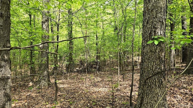 20962 Distress Creek Rd, Harrisburg, AR 72432