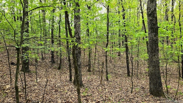 20962 Distress Creek Rd, Harrisburg, AR 72432