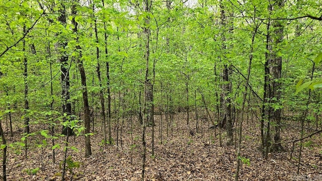 20962 Distress Creek Rd, Harrisburg, AR 72432