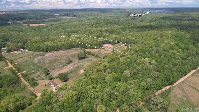 20962 Distress Creek Rd, Harrisburg, AR 72432