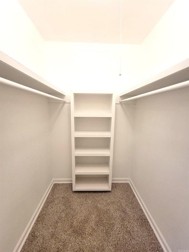 1907 Sunset, Pine Bluff, AR 71603 - spacious closet with carpet flooring