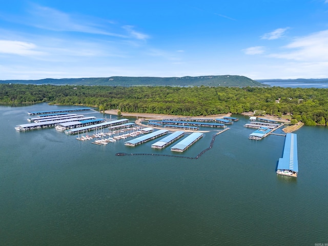 852 Rock Ledge Rd, Heber Springs, AR 72543 - drone / aerial view of a water and mountain view, a marina, and a heavily wooded area