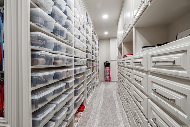 12 Darro Way, Hot Springs Village, AR 71909 - walk in closet with carpet flooring