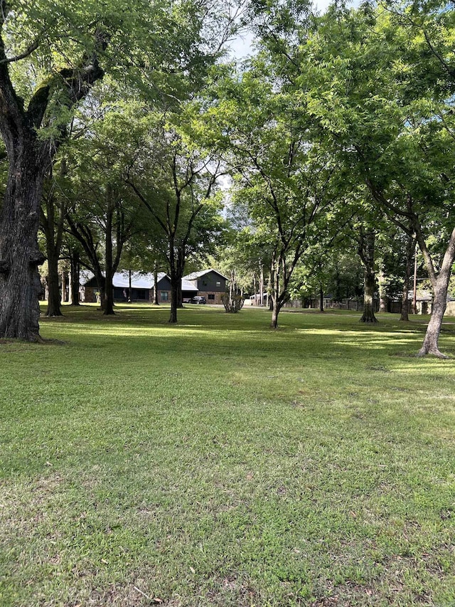 18 Riviera Dr, Conway, AR 72034 - view of grassy yard