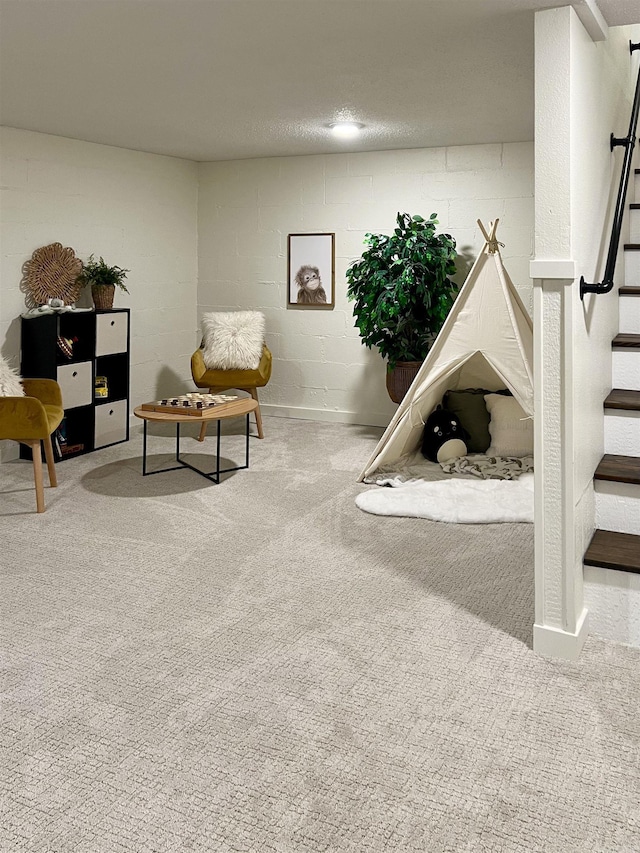 506 W Clinton St, Heber Springs, AR 72543 - recreation room with carpet flooring and concrete block wall