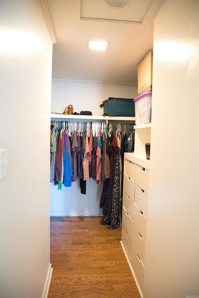 510 Frances, Magnolia, AR 71753 - spacious closet with wood finished floors