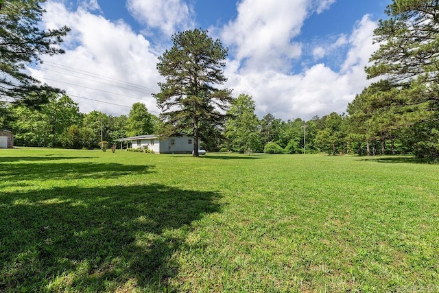 135 Cress Ln, Clinton, AR 72031 - view of green lawn