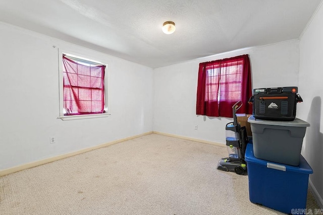 135 Cress Ln, Clinton, AR 72031 - interior space featuring carpet and baseboards