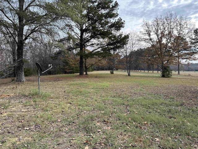 204 Pleasant Ridge Rd, El Paso, AR 72045 - view of yard