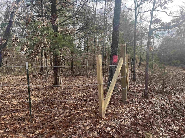 Fawn Ridge Ln, Williford, AR 72482