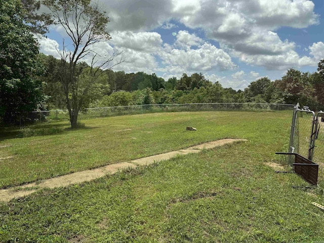 251 Grouse Trl, Pocahontas, AR 72455 - view of yard