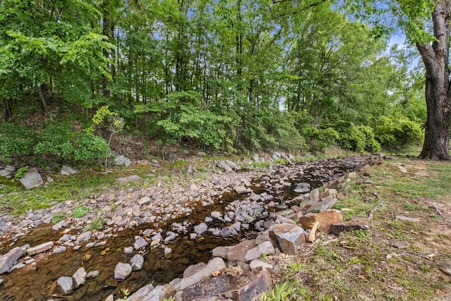 view of local wilderness
