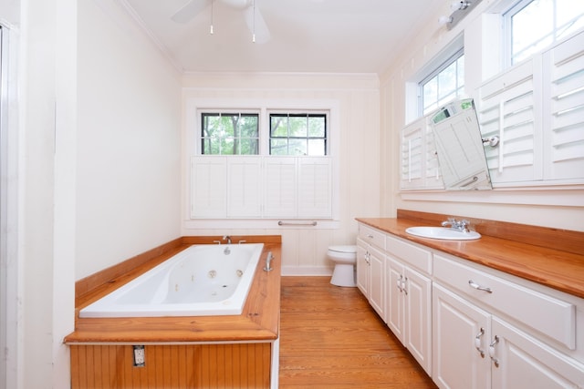 111 Thayer St, Little Rock, AR 72205 - bathroom with toilet, plenty of natural light, crown molding, a tub with jets, and vanity