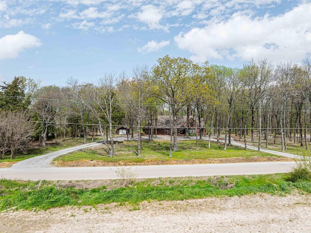 2005 Kingshighway, Weiner, AR 72479 - view of property's community