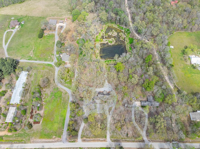 2005 Kingshighway, Weiner, AR 72479 - aerial view of property and surrounding area