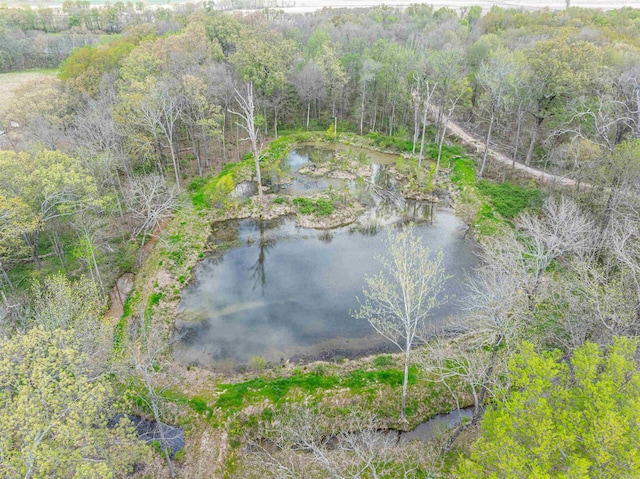 2005 Kingshighway, Weiner, AR 72479 - water view featuring a heavily wooded area