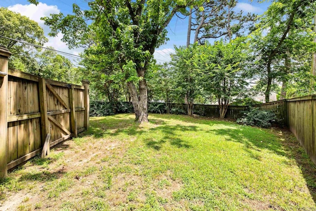 821 Mcadoo St, Little Rock, AR 72205 - view of yard