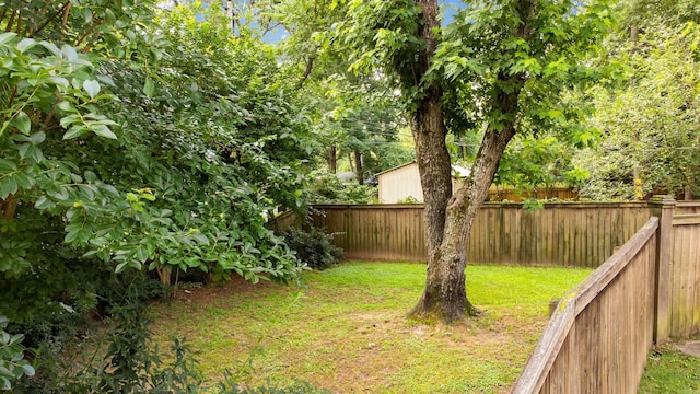 821 Mcadoo St, Little Rock, AR 72205 - view of yard