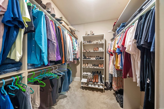 253 High Meadow Loop, Hot Springs, AR 71901 - walk in closet featuring carpet flooring